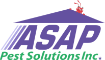 ASAP Pest Solutions IncWelcome To Our Site